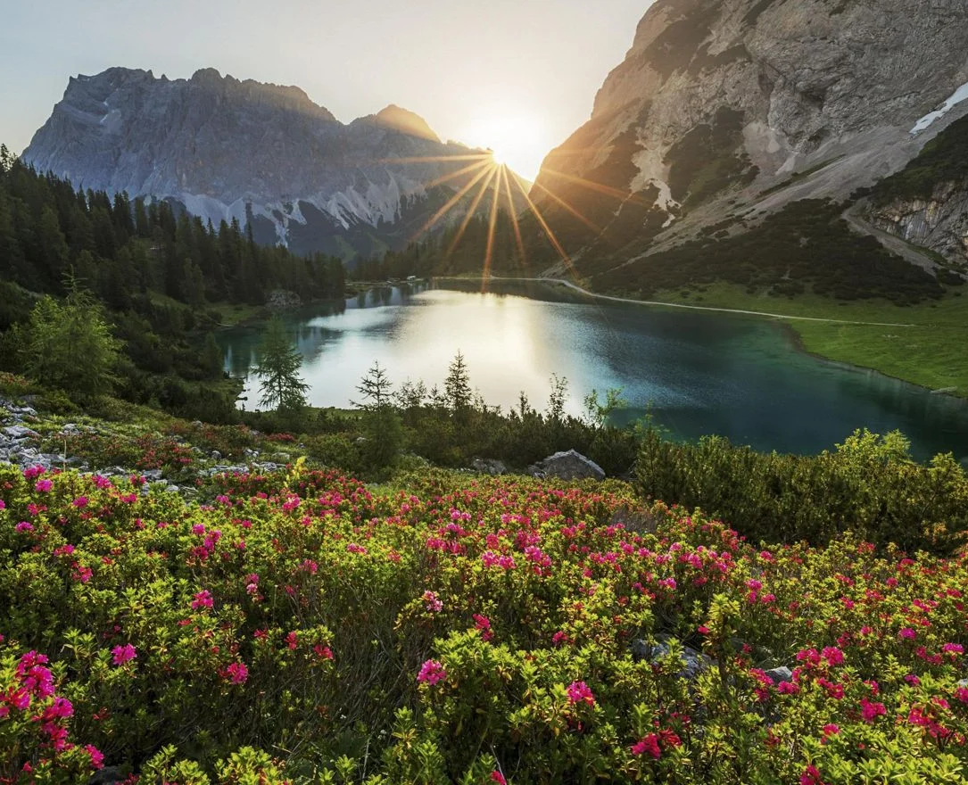 image_2026-04-21_104301887